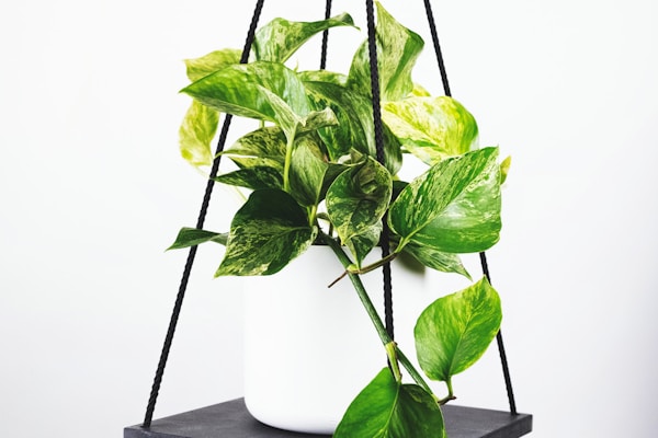 2026年世界杯预选赛欧洲区激烈比赛现场